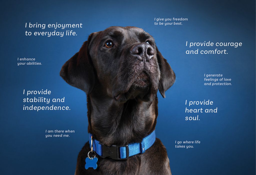 about_dog_statements